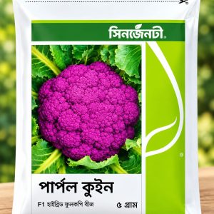 পার্পল কুইন ফুলকপি বীজ (F1 হাইব্রিড) — সিনজেনটা — ৫ গ্রাম