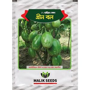 গ্রীন বল বেগুন বীজ - মালিক সিডস - ৫ গ্রাম